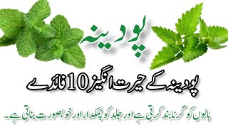 mint ke fayde l mint ke fayde in urdu l mint khane ke fayde l benefits of mint leaves [upl. by Suolhcin523]