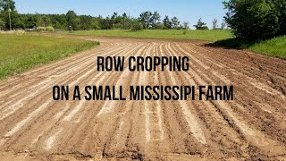 Row Cropping On A Small Mississippi Farm [upl. by Dragon513]