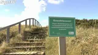 Renaturierung einer Strandtreppe in Rantum auf Sylt [upl. by Yonita]