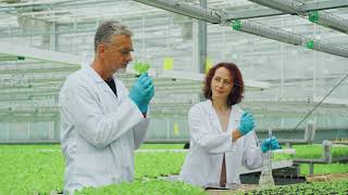 Scientists take samples of soil leaves study vegetable seedlings Scientific research on plants [upl. by Lemhaj]