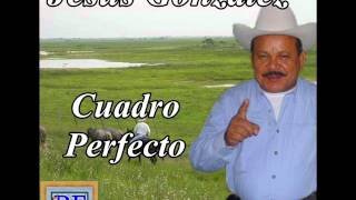 Jesus Gonzalez  Cuadro Perfecto [upl. by Lekcar]