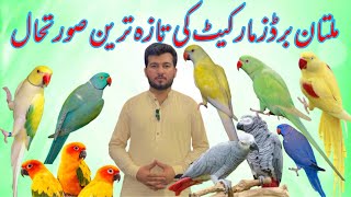 Multan Sunday Birds Market Rasheedabad 20 October 2024  part 3 Lahore bird market video [upl. by Paine478]