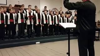 quotPulchra es anima meaquot by Ola GjeiloBoys choir Dzvinochok [upl. by Rooke]