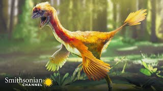 Prehistoric Dinosaur Bird Fossils Found in China Are Amazingly Detailed  Smithsonian Channel [upl. by Koralle]