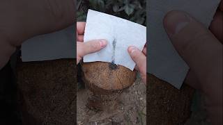 Lightning a fire with a lighter that doesnt work survival skills lifehacks [upl. by Martelli]