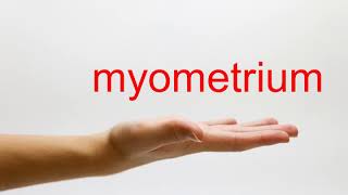 How to Pronounce myometrium  American English [upl. by Ara]