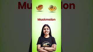 Muskmelon [upl. by Horgan]