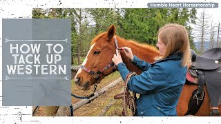 How to Tack Up a Horse Western Style [upl. by Lundell]