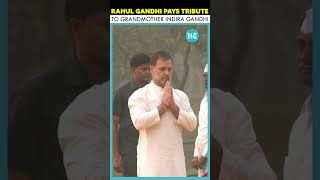 Rahul Gandhi Pays Tribute To Grandmother Indira Gandhi On Her Birth Anniversary [upl. by Jemina]