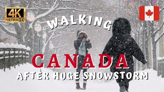 🇨🇦 Snowstorm in Canada ☃️  Ottawa Snow Walk Walking Tour 4K Ultra HDR60fps [upl. by Thebault]