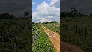 sítio a venda 54 hectares com 3 açudes todo acituado bodoco pé 8799102 3154  8798106 6707 [upl. by Nauqet844]