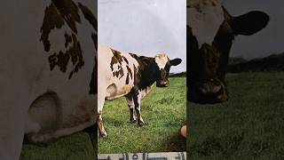 Atom Heart Mother [upl. by Tyrone]