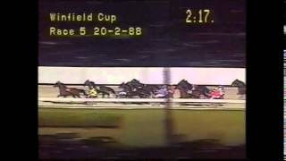 1988 Winfield Cup harness race  Bag Limit [upl. by Adialeda]