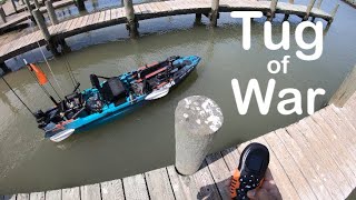 S3 Ep101 Monster fish vs Old Town Autopilot 120 Blue Crabs at Texas City Dike [upl. by Arualana692]