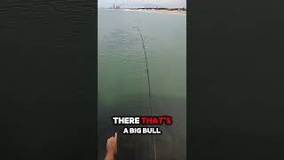 Aggressive Fish on the Jetty saltwaterfishing florida fishing wow luck outdoors jettyfishing [upl. by Noswal]