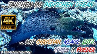 Tauchen im Indischen Ozean 🦞 🐟 🐠 [upl. by Gad]