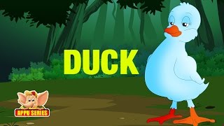 Animal Sounds  Duck [upl. by Enawtna955]