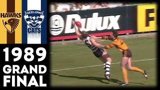 1989 VFL Grand Final  Hawthorn Vs Geelong Extended Highlights [upl. by Anaeco]