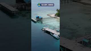 Want to Explore the BEST Diving Spots in Indonesia shorts [upl. by Yllen]