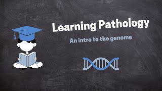 Pathology Introduction Lecture [upl. by Ogren]