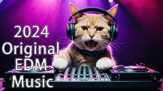 original music🔥 Mashups amp Remixes Of Popular Songs 🔥 DJ Remix Club Music Dance Mix 2024 [upl. by Barimah]