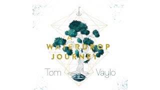 Tom Vaylo  A Waterdrop Journey  Handpan Full Album [upl. by Nosemyaj]