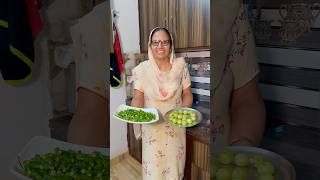 Quick Mix Amla Mirch Achar Recipe [upl. by Yelsnya]