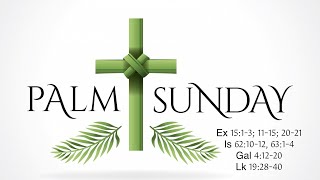 Palm Sunday Sermon in Hindi I Sunday Homilies with Fr Michael Palamparampil CMI [upl. by Ahsenrat]