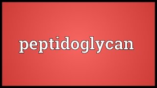 Peptidoglycan Meaning [upl. by Ahsotan]