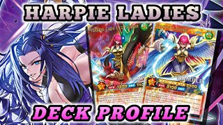 Harpie Ladies DECK PROFILE  YUGIOH RUSH DUEL [upl. by Semele331]