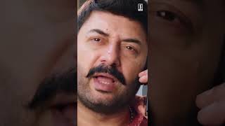 I am going to squeeze youEnglish Movie Scenes  Bhaskar the Rascal  Amala Paul [upl. by Gerti381]