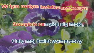 W tym małym kwiatku czerwonym  karaoke [upl. by Lola132]