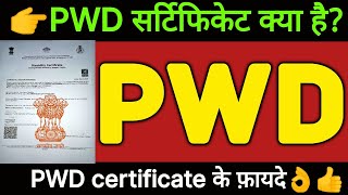 PWD Certificate kya hota hai  PWD categary kya hai  PWD kya hai  Pwd Candidats kya hota hai [upl. by Lonnard]