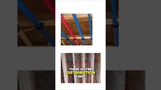 What is PEX Pipe [upl. by Joeann]