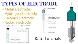 6 Different Types of Electrodes amp their Reactions in Electrochemistry [upl. by Huesman]