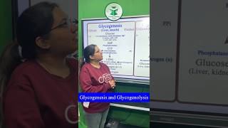 Glycogenesis and glycogenolysis For more details contact on 7814622609 or 8837686765 [upl. by Eenert]