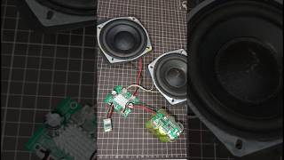 Class D Amplifier Board Sound Test shorts shortsfeed [upl. by Adnanref803]