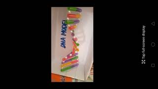 Dna model for school projectSimple and easy way to make cardboard DNA model craft [upl. by Nnyloj980]