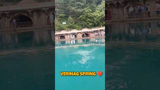 VERINAG SPRING  Beautiful Kashmirshorts youtubeshorts kashmir [upl. by Puff]