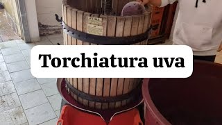 COME FARE IL VINO ROSSO IN CASA EP 3 SVINATURA E TORCHIATURA UVA [upl. by Cyrilla]