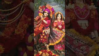 Rangreza RangrezaRangde Mohe RangrezaRangde Tu RangrezaSahebji Piyaviralvideo radharani sort [upl. by Eissahc]