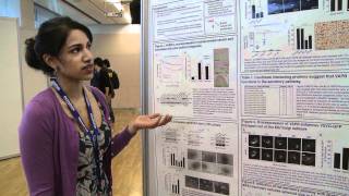 Research on display  poster sessions at The EMBO Meeting [upl. by Ayaet26]