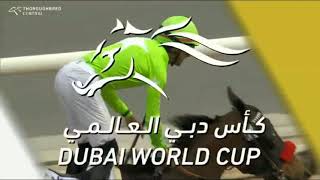 2024 UAE DUBAI WORLD CUP NIGHT  Godolphin Mile [upl. by Cagle]