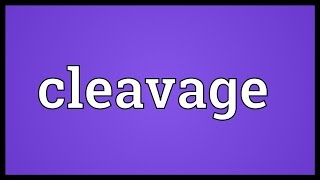 Cleavage Meaning [upl. by Eisoj]