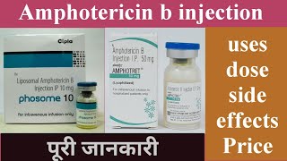 amphotericin b injection के बारे में पूरी जानकारी [upl. by Harolda]