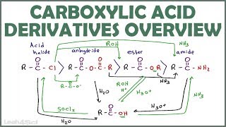 Carboxylic Acid Derivatives Overview and Reaction Map [upl. by Fesoy464]