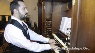 Stars and Stripes Forever by John Philip Sousa  Organist Chris Johnson from the Dallas Cathedral [upl. by Dane]