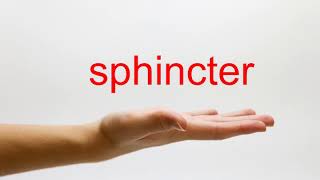 How to Pronounce sphincter  American English [upl. by Reinertson930]