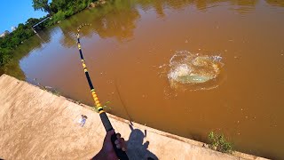 Houston BIGGEST Fish 150 lb beast [upl. by Emoryt]