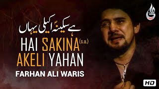 Farhan Ali Waris  Hai Sakina Akeli Yahan  Noha  2013 [upl. by Ardnuhsed]